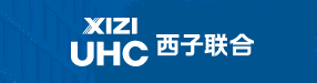 STRATEGIC PARTNERS